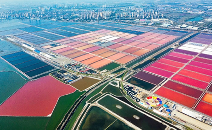 ���ո��£���ǰ����