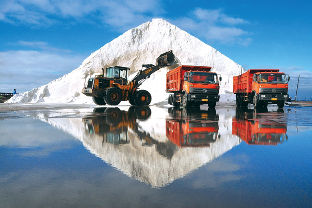 ���й���������ר�汨�������γ�����̲����ճ���