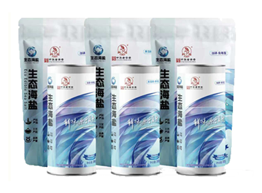 ��̬����